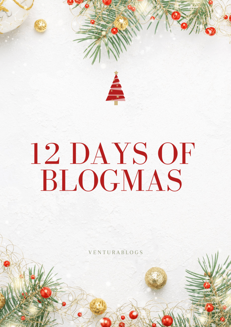 BLOGMAS Day 12 : The classic Taking Stock&nbsp;post